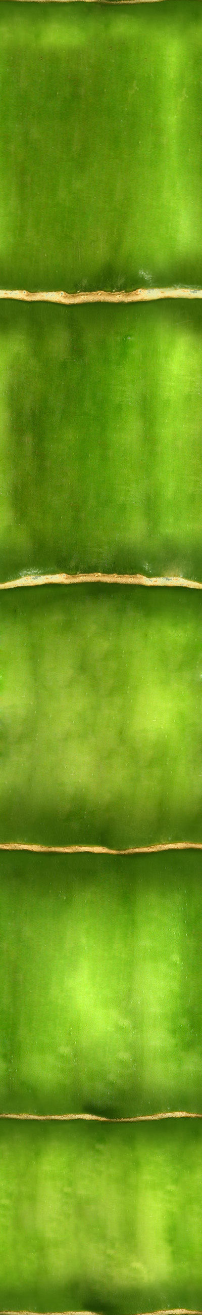 Forest Trees - Realistic Low Poly PBR Trees Models Texture_60