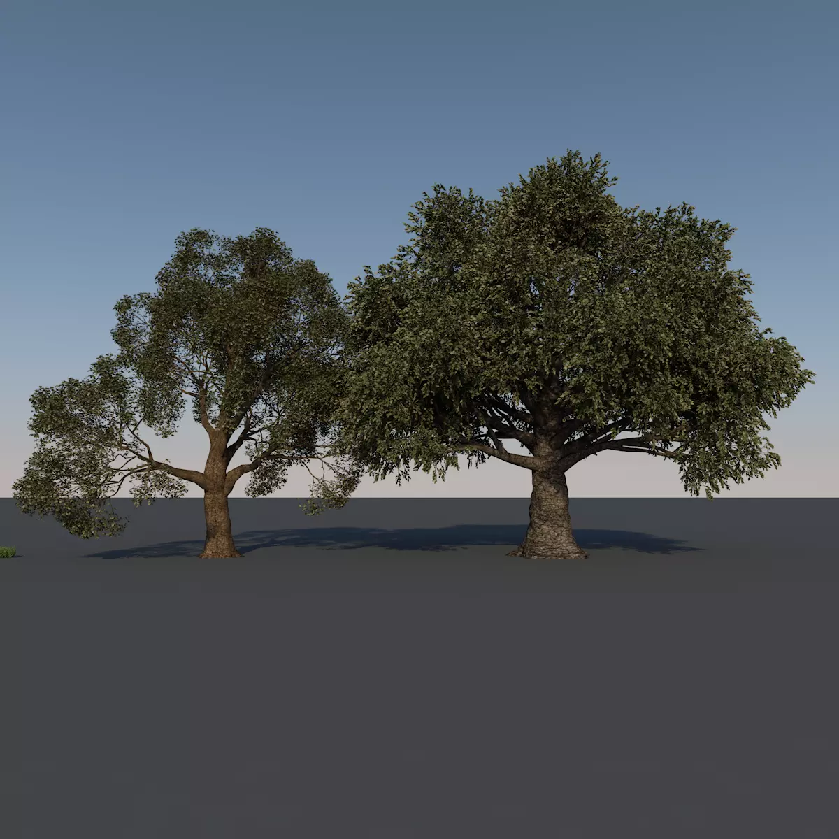 Forest Trees - Realistic Low Poly PBR Trees Models Texture_0