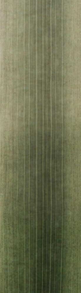 Forest Trees - Realistic Low Poly PBR Trees Models Texture_110