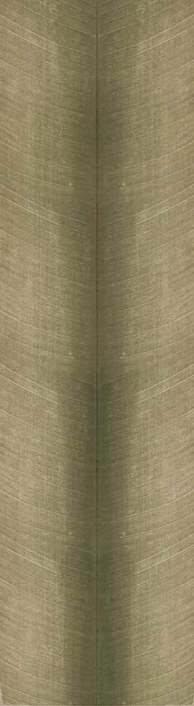 Forest Trees - Realistic Low Poly PBR Trees Models Texture_113