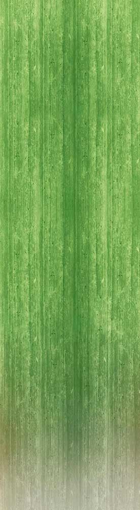 Forest Trees - Realistic Low Poly PBR Trees Models Texture_78