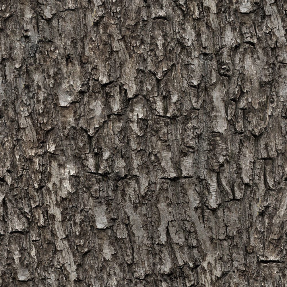 Forest Trees - Realistic Low Poly PBR Trees Models Texture_53