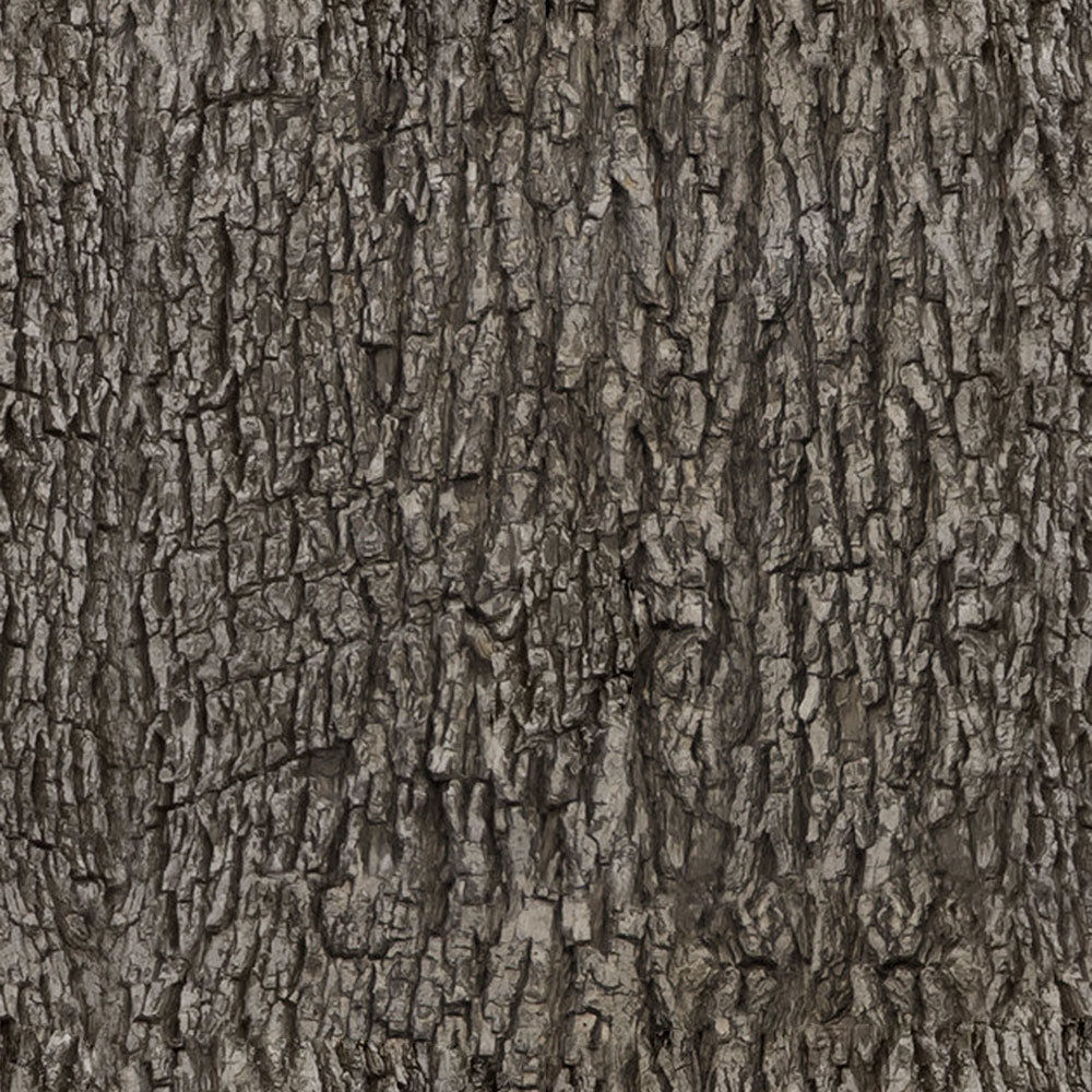 Forest Trees - Realistic Low Poly PBR Trees Models Texture_62