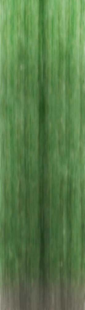 Forest Trees - Realistic Low Poly PBR Trees Models Texture_84