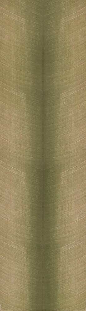 Forest Trees - Realistic Low Poly PBR Trees Models Texture_122