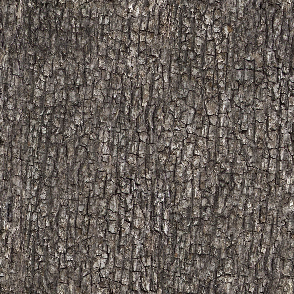 Forest Trees - Realistic Low Poly PBR Trees Models Texture_65