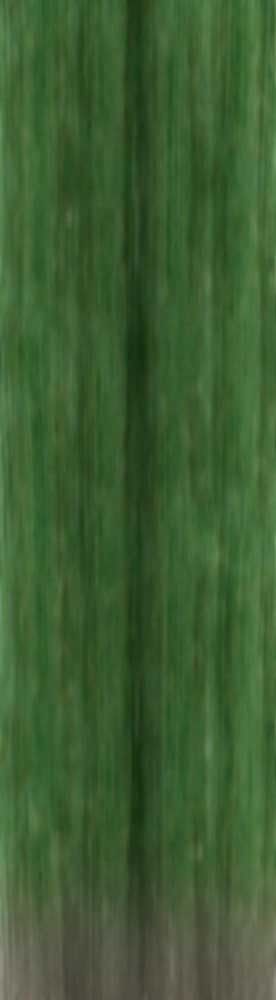 Forest Trees - Realistic Low Poly PBR Trees Models Texture_85