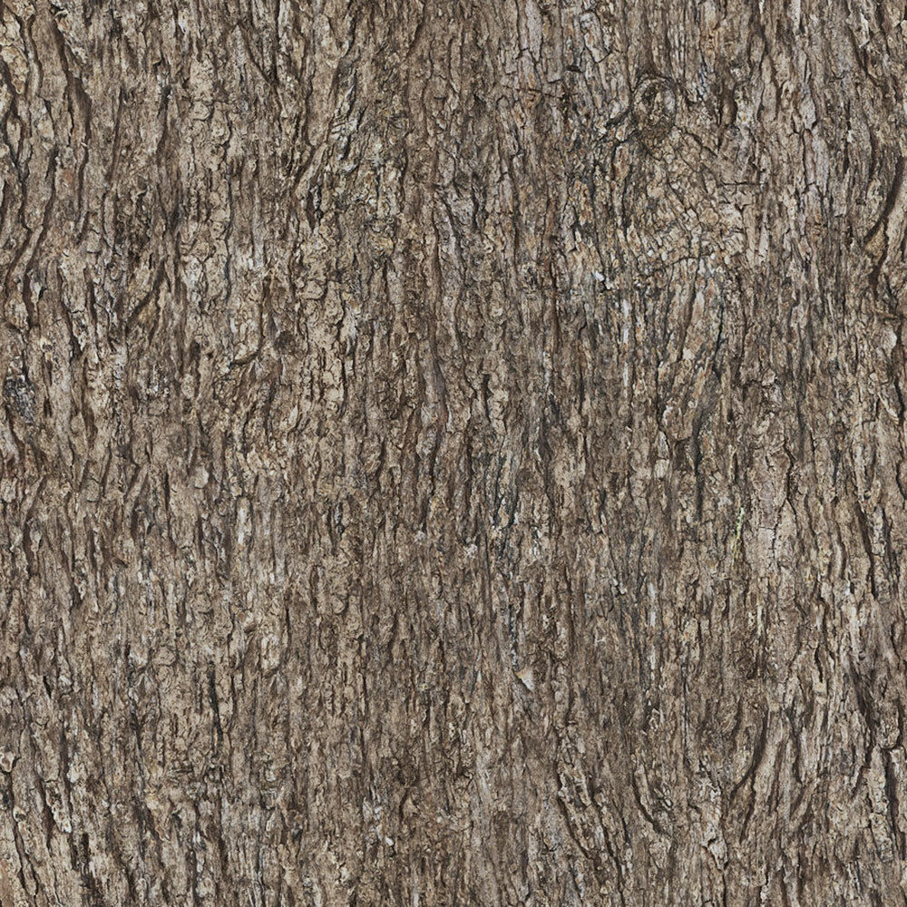 Forest Trees - Realistic Low Poly PBR Trees Models Texture_55