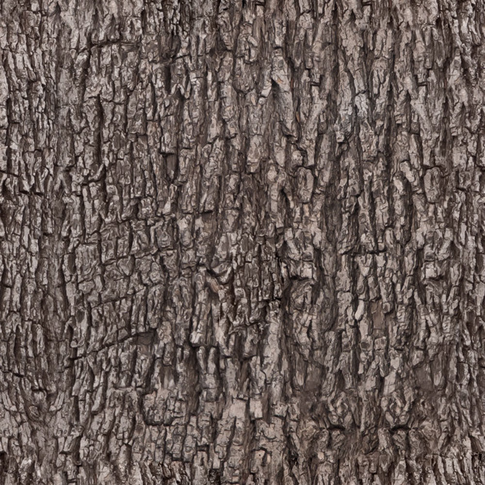 Forest Trees - Realistic Low Poly PBR Trees Models Texture_54