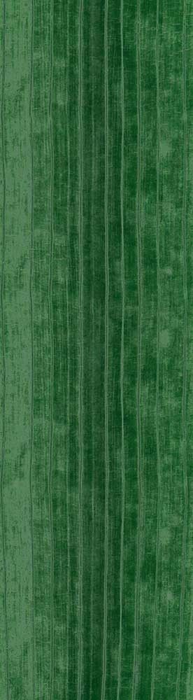 Forest Trees - Realistic Low Poly PBR Trees Models Texture_79