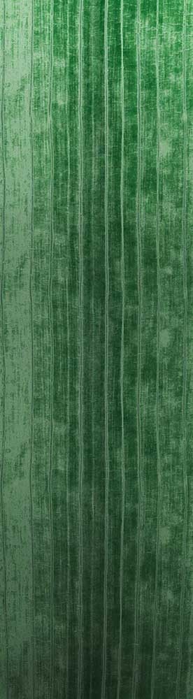 Forest Trees - Realistic Low Poly PBR Trees Models Texture_86