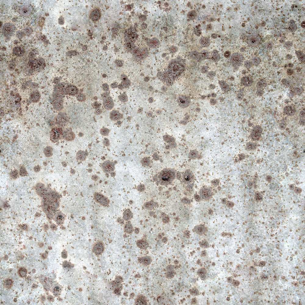 Forest Trees - Realistic Low Poly PBR Trees Models Texture_69