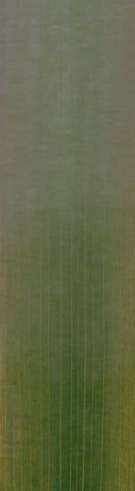 Forest Trees - Realistic Low Poly PBR Trees Models Texture_104