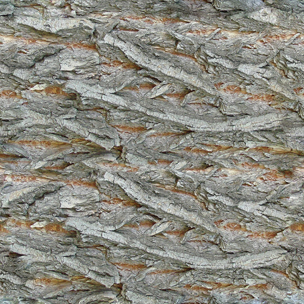 Forest Trees - Realistic Low Poly PBR Trees Models Texture_64