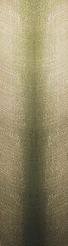 Forest Trees - Realistic Low Poly PBR Trees Models Texture_117