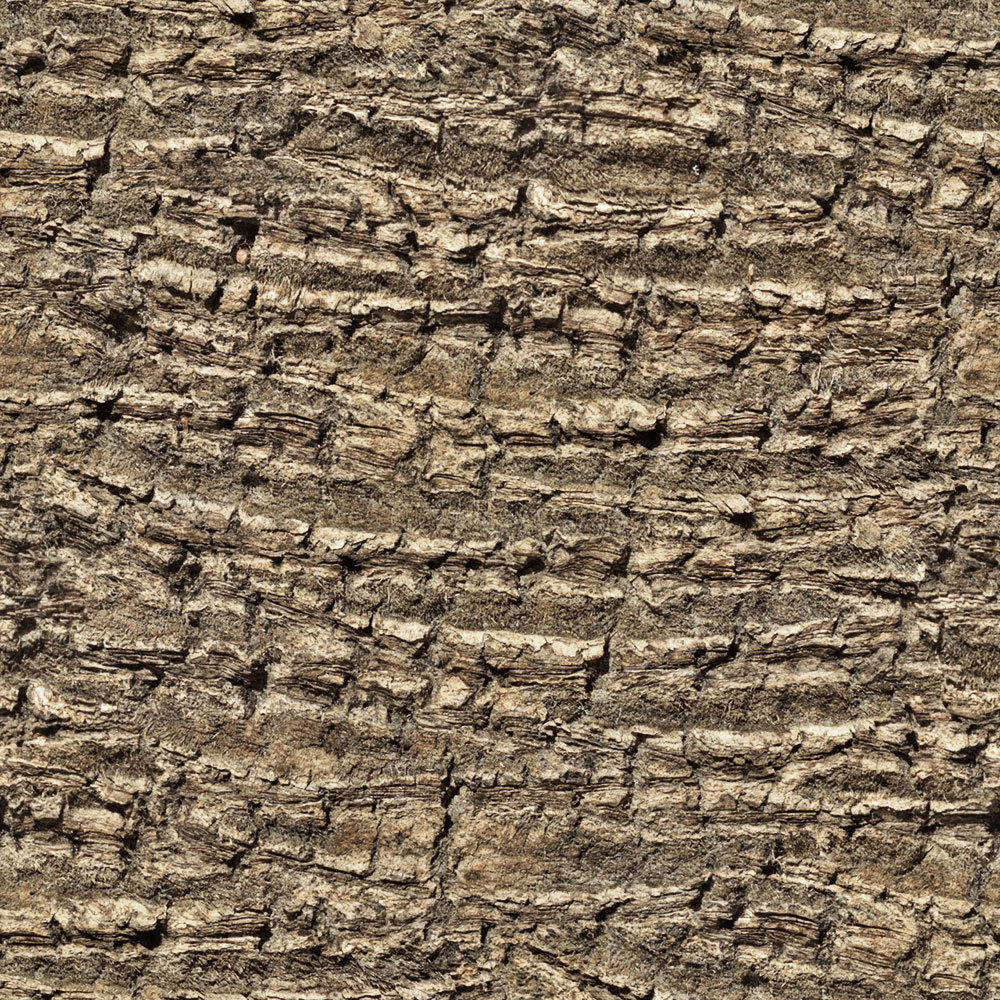 Forest Trees - Realistic Low Poly PBR Trees Models Texture_68