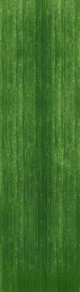 Forest Trees - Realistic Low Poly PBR Trees Models Texture_120