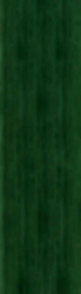 Forest Trees - Realistic Low Poly PBR Trees Models Texture_93