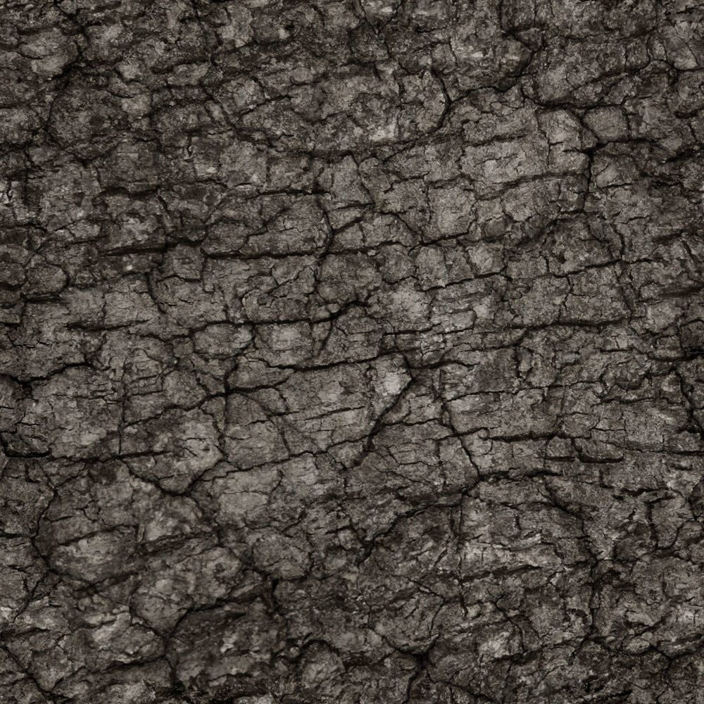 Forest Trees - Realistic Low Poly PBR Trees Models Texture_49