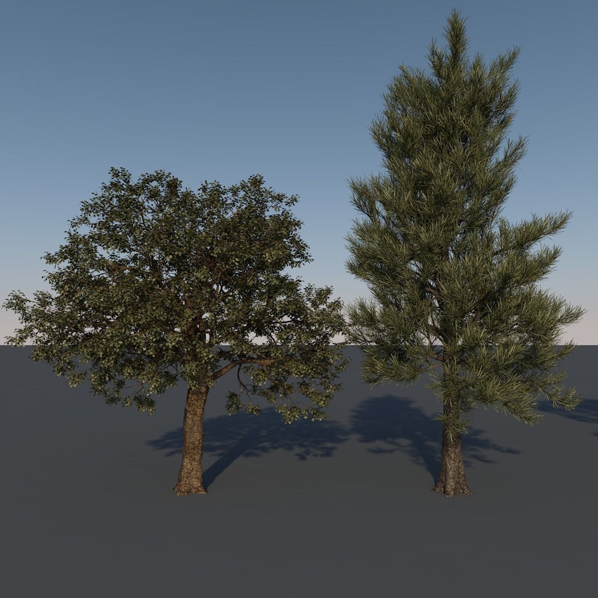 Forest Trees - Realistic Low Poly PBR Trees Models Texture_3