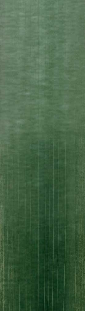 Forest Trees - Realistic Low Poly PBR Trees Models Texture_100