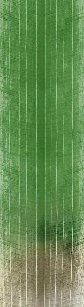 Forest Trees - Realistic Low Poly PBR Trees Models Texture_127