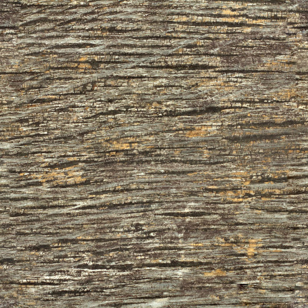 Forest Trees - Realistic Low Poly PBR Trees Models Texture_72