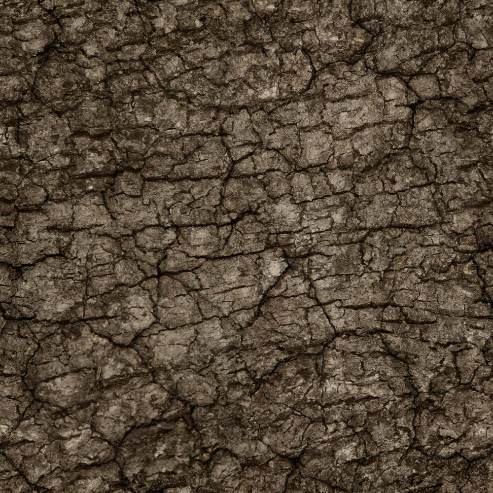 Forest Trees - Realistic Low Poly PBR Trees Models Texture_51