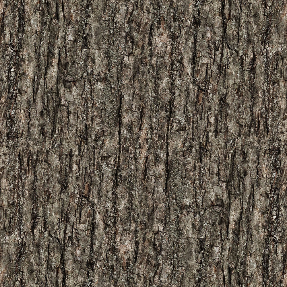 Forest Trees - Realistic Low Poly PBR Trees Models Texture_59