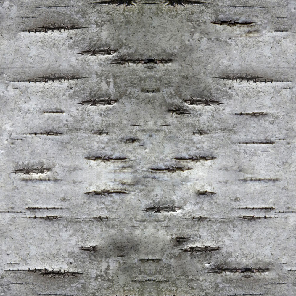 Forest Trees - Realistic Low Poly PBR Trees Models Texture_46