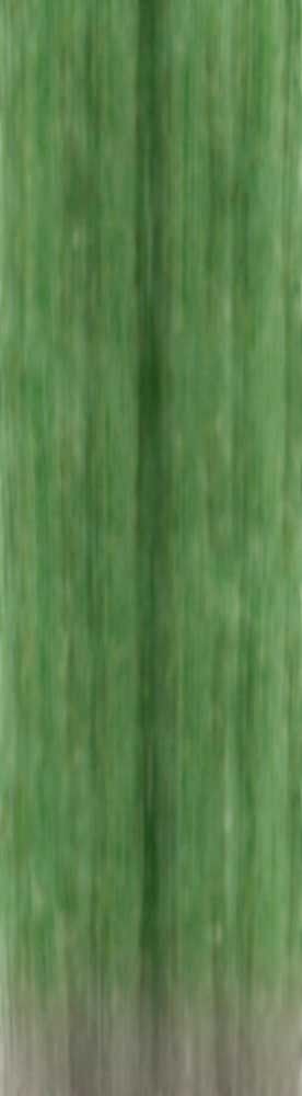 Forest Trees - Realistic Low Poly PBR Trees Models Texture_76