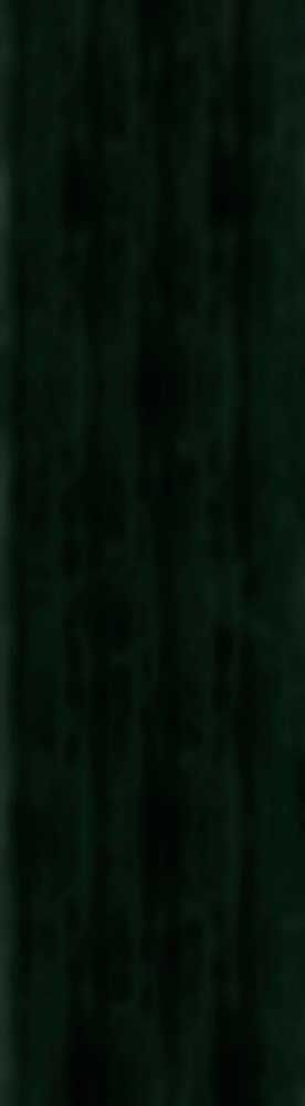 Forest Trees - Realistic Low Poly PBR Trees Models Texture_103