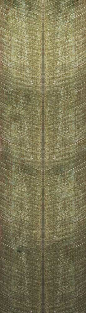 Forest Trees - Realistic Low Poly PBR Trees Models Texture_144