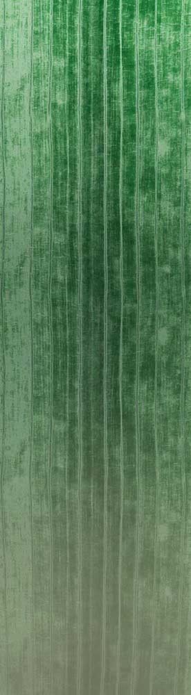 Forest Trees - Realistic Low Poly PBR Trees Models Texture_94