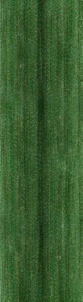 Forest Trees - Realistic Low Poly PBR Trees Models Texture_83