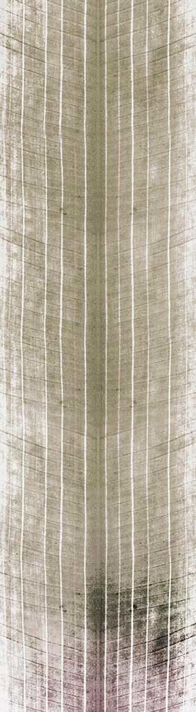 Forest Trees - Realistic Low Poly PBR Trees Models Texture_133