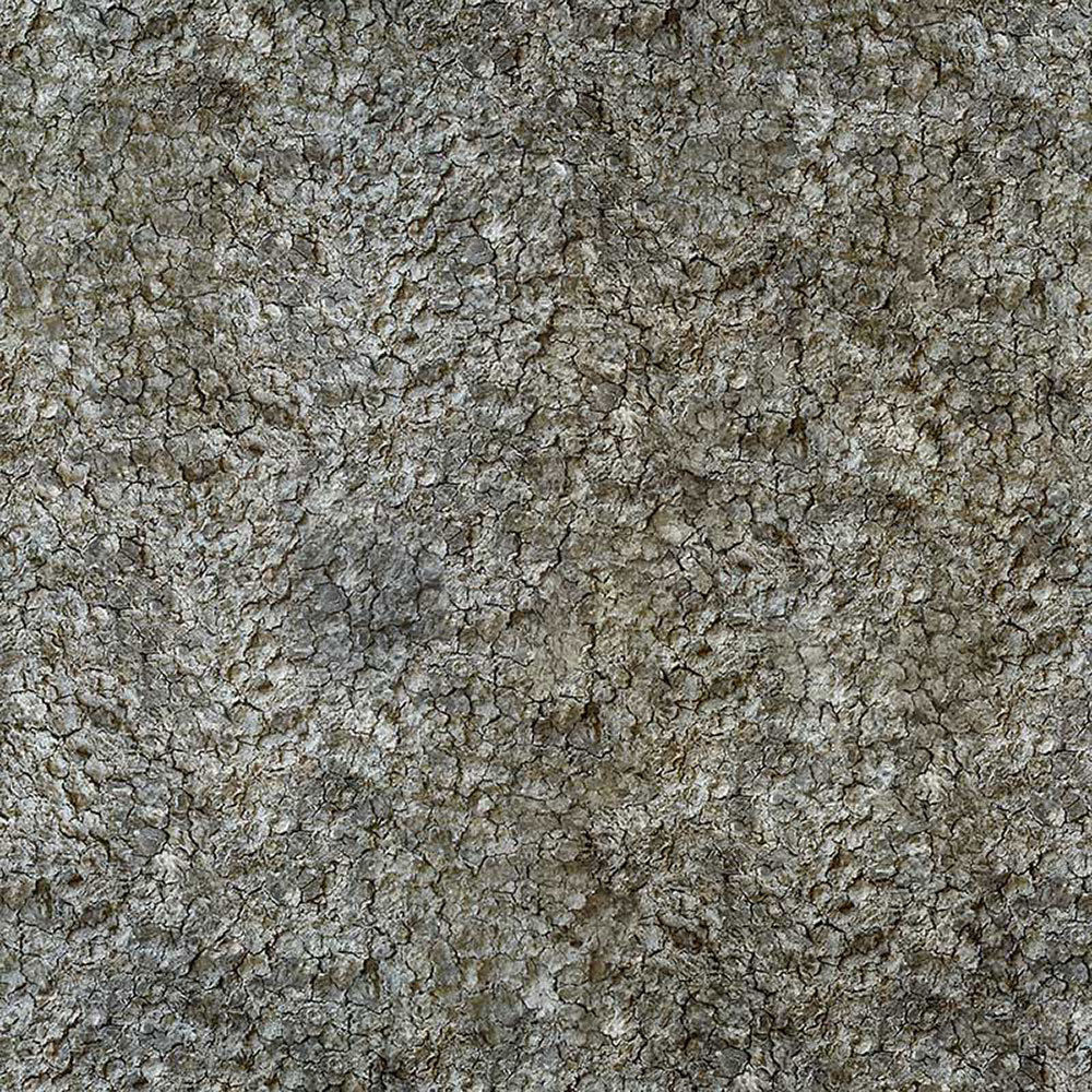 Forest Trees - Realistic Low Poly PBR Trees Models Texture_63