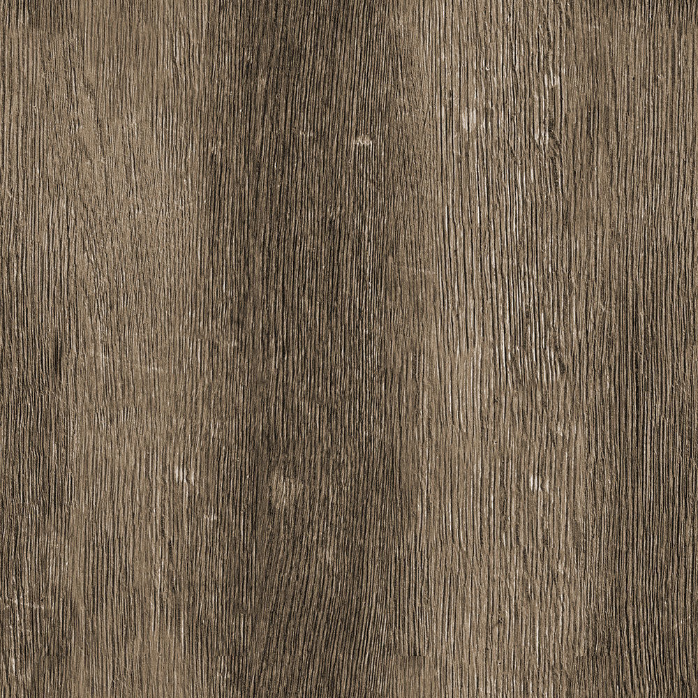 Forest Trees - Realistic Low Poly PBR Trees Models Texture_61