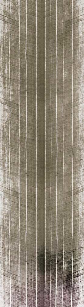 Forest Trees - Realistic Low Poly PBR Trees Models Texture_131