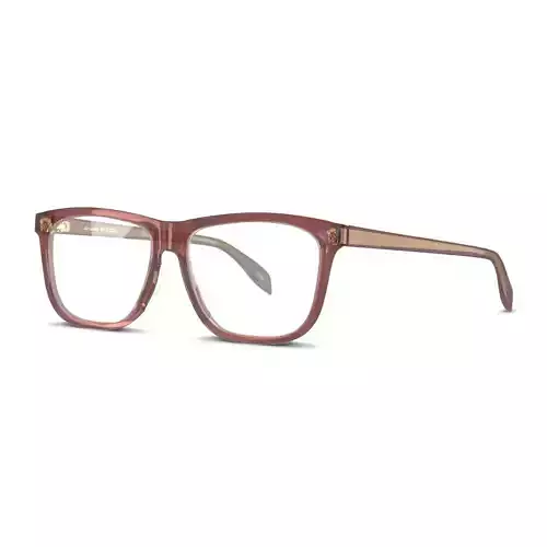 Alexander McQueen AM0248O Glasses Low-poly 3D model