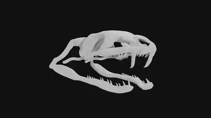 Snake skull 3D model