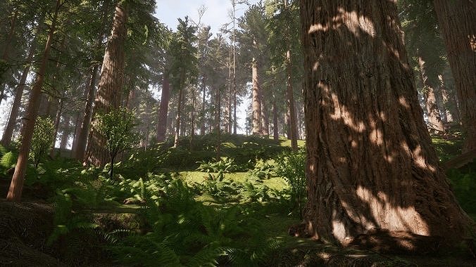 Redwood forest for game ready Low-poly 3D model 4