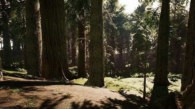 Redwood forest for game ready Low-poly 3D model 3