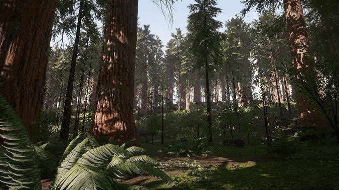Redwood forest for game ready Low-poly 3D model 2