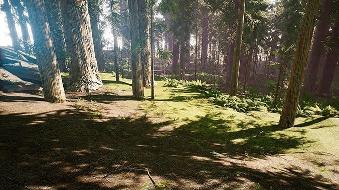 Redwood forest for game ready Low-poly 3D model 6