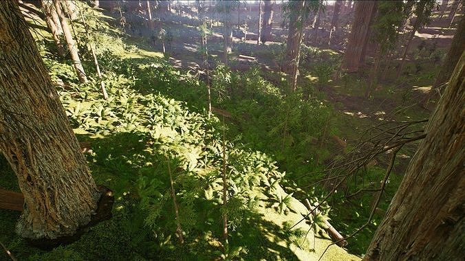 Redwood forest for game ready Low-poly 3D model 7