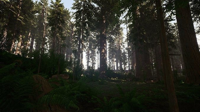 Redwood forest for game ready Low-poly 3D model 5