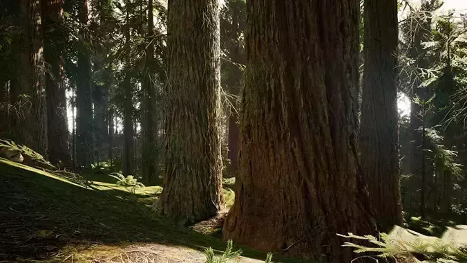 Redwood forest for game ready Low-poly 3D model