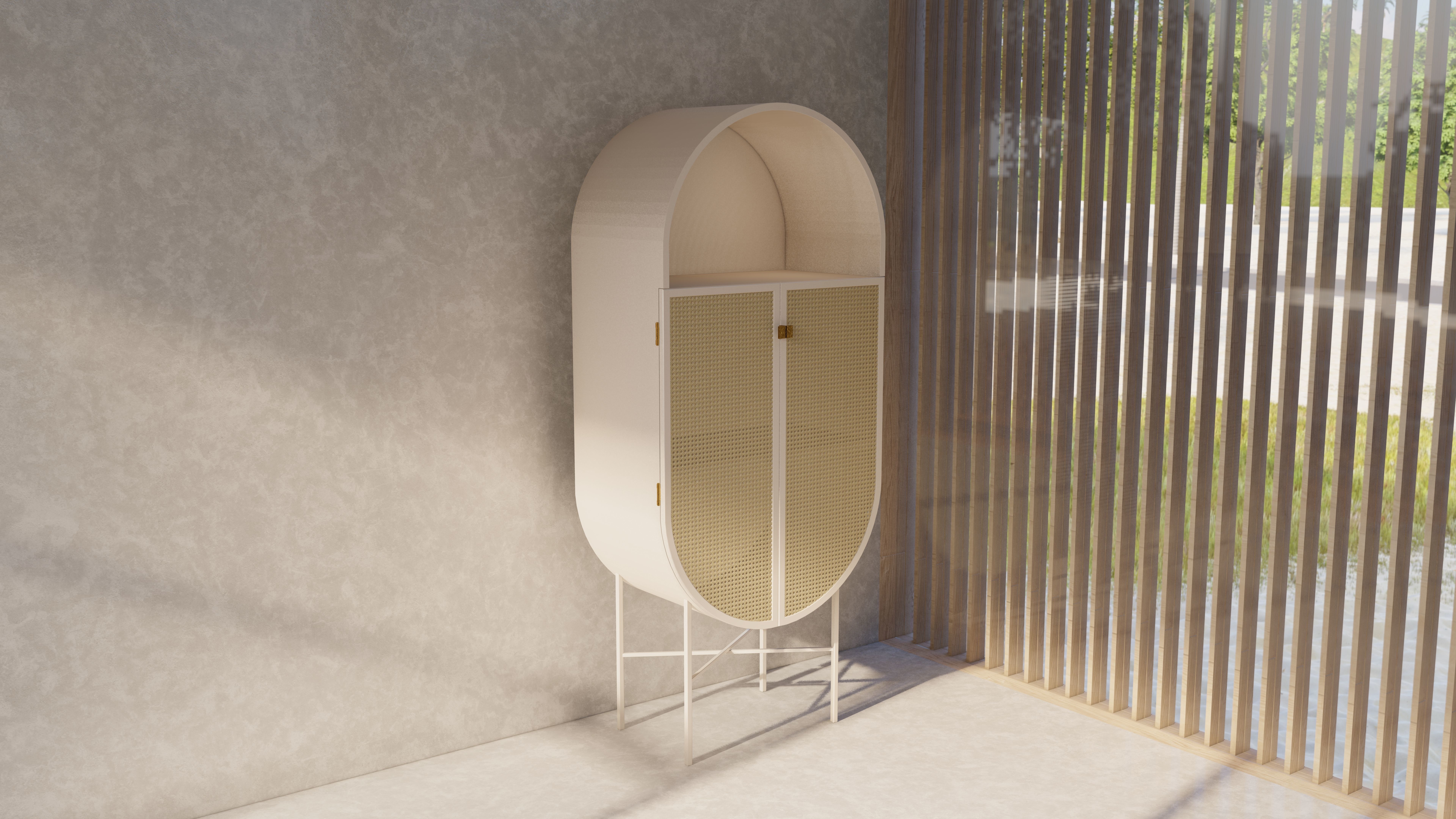 Cane cabinet 3D model 3D model_4