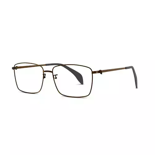 Alexander McQueen AM0278O Glasses  Low-poly 3D model